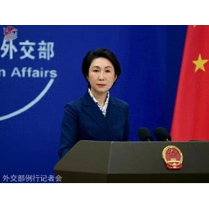 The Ministry of Foreign Affairs responded to Musk's remarks on China