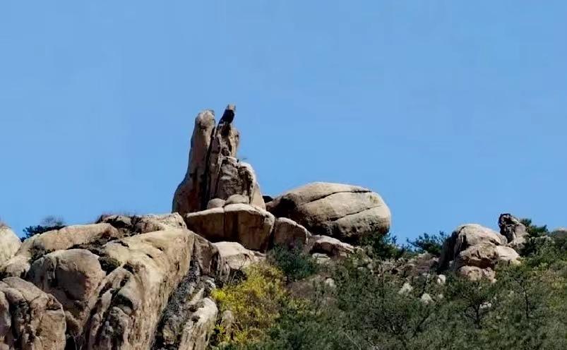 青岛十大必玩景点，去过九个才算玩转青岛(图26)