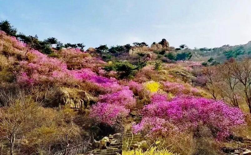 青岛十大必玩景点，去过九个才算玩转青岛(图23)