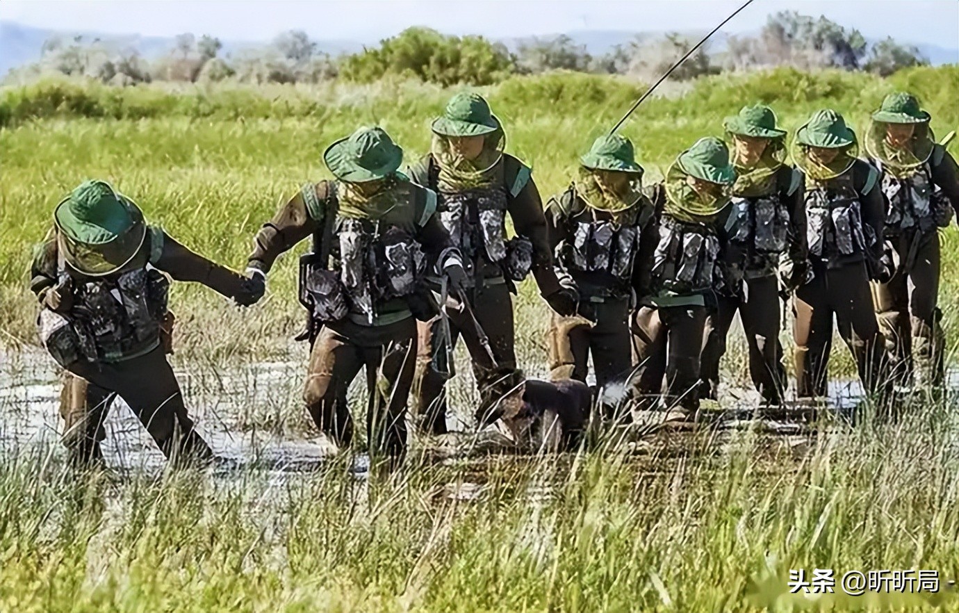 A section of the Chinese border is extremely dangerous. Seven military dogs have been bitten to deat(图10)