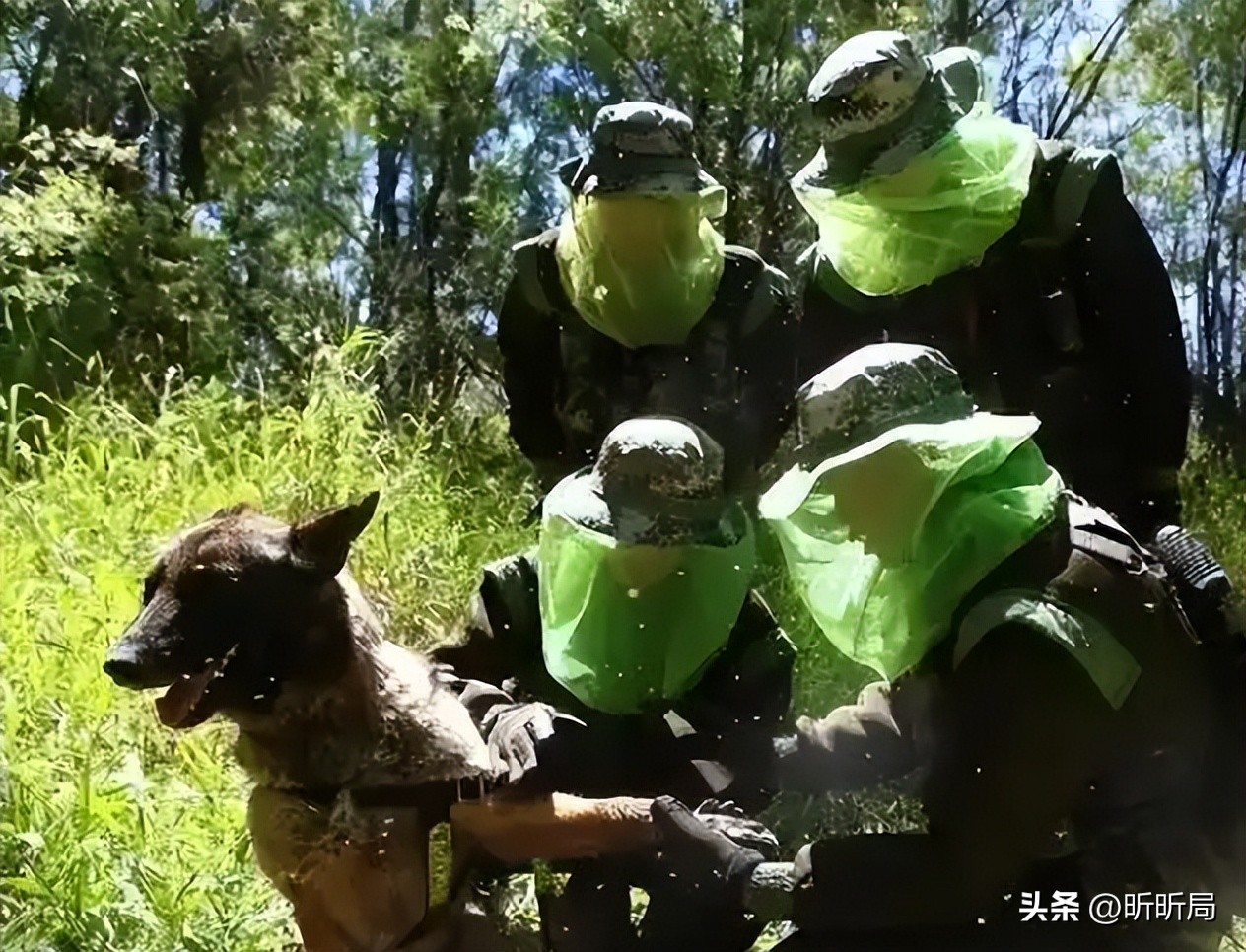 A section of the Chinese border is extremely dangerous. Seven military dogs have been bitten to deat(图16)